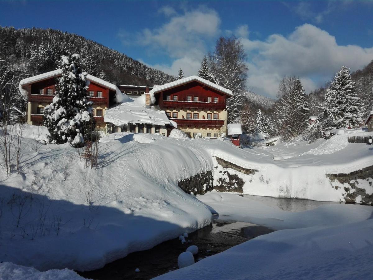 Rodinny "Hotel U Mustku" Desná Exterior photo